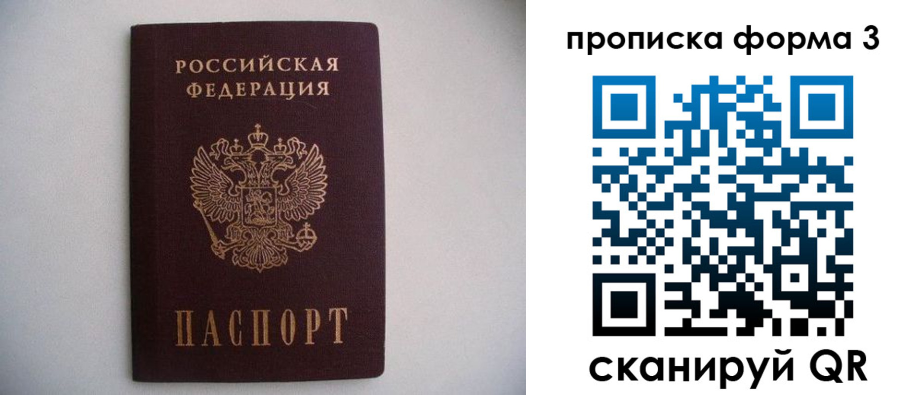 прописка в Камешково